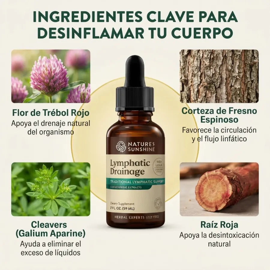 Drenaje Linfático — Reduce el Cansancio, la Hinchazón y la Retención de Líquidos en 7 Días