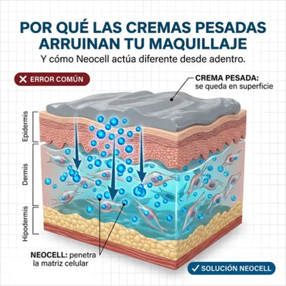 Neocell Serum Facial (Ácido Hialurónico + Niacinamida) - Alivio para Piel Seca y Acartonada - Absorción Rápida Sin Residuos Grasos